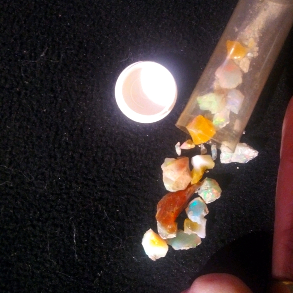 Opal's